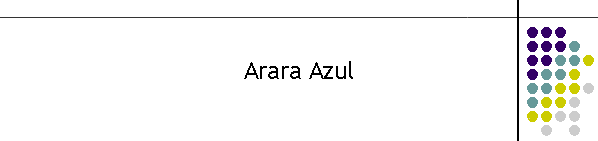 Arara Azul