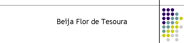 Beija Flor de Tesoura