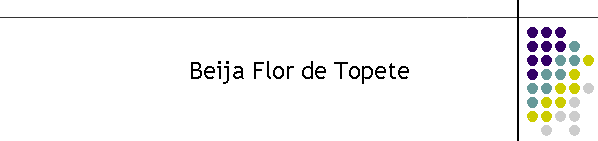 Beija Flor de Topete