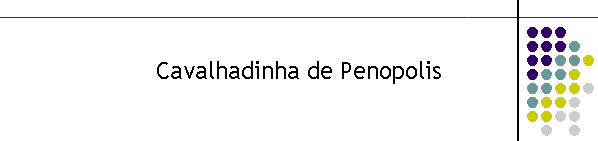 Cavalhadinha de Penopolis