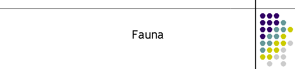 Fauna