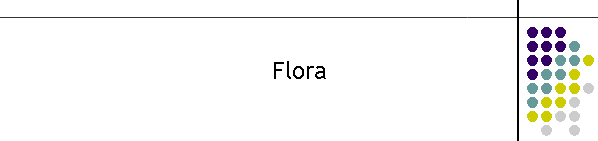 Flora