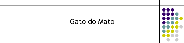 Gato do Mato