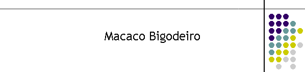 Macaco Bigodeiro