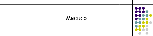 Macuco