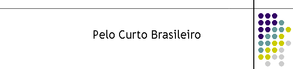 Pelo Curto Brasileiro