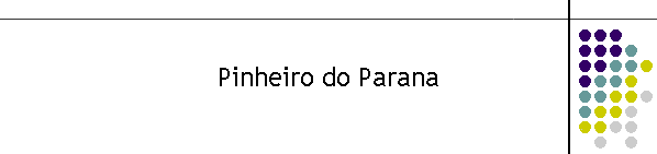 Pinheiro do Parana