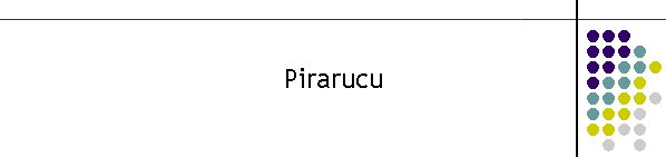 Pirarucu