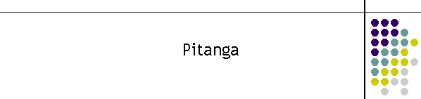 Pitanga